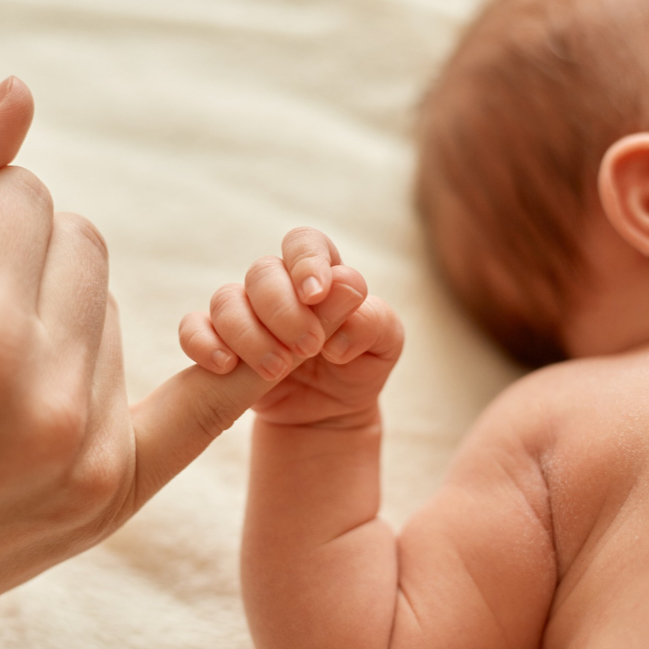 Online geboortelijst Little Stork